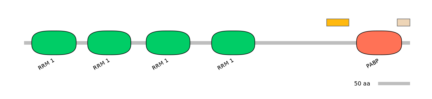 MmuEX1019351-EXC