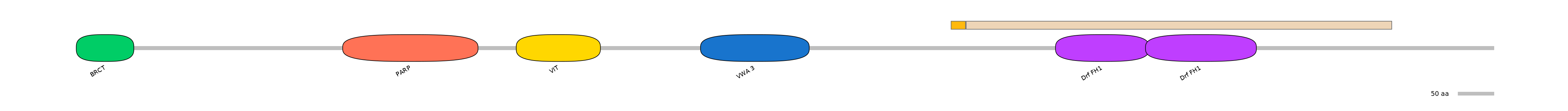 MmuEX1019463-EXC