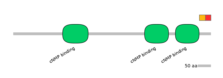 MmuEX1020453-INC