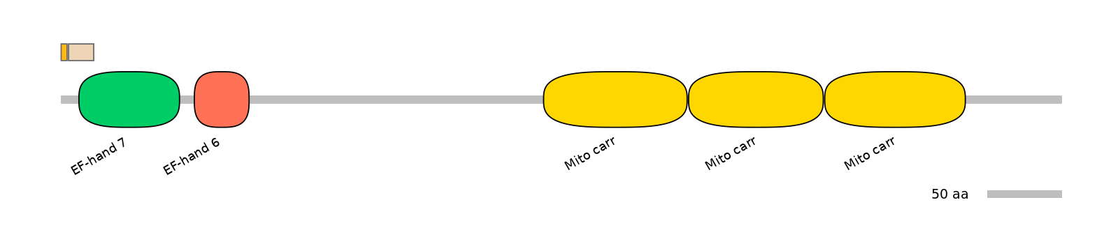 MmuEX1023845-EXC