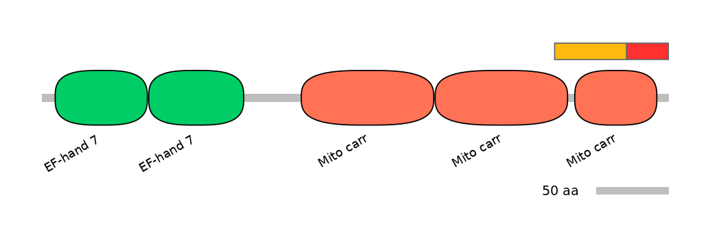 MmuEX1023862-INC