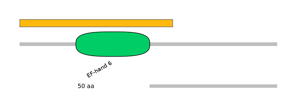 MmuEX1023864-EXC