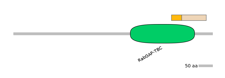 MmuEX1025522-EXC