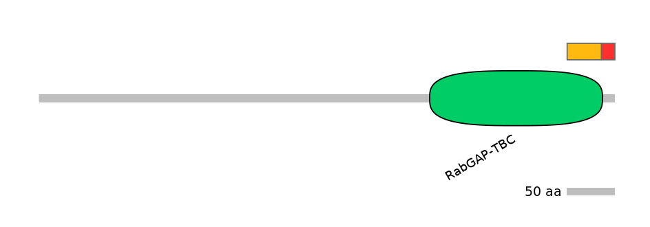 MmuEX1025522-INC