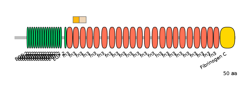 MmuEX1026485-EXC