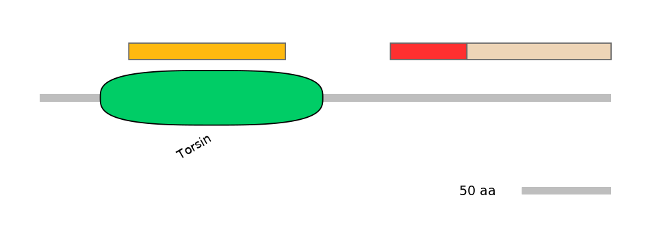 MmuEX1026524-INC