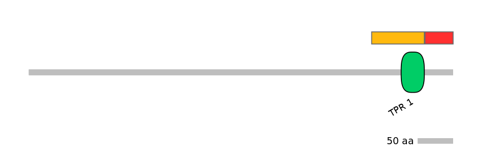 MmuEX1026945-INC