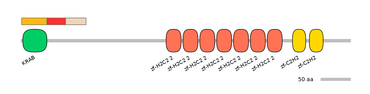 MmuEX1028554-INC