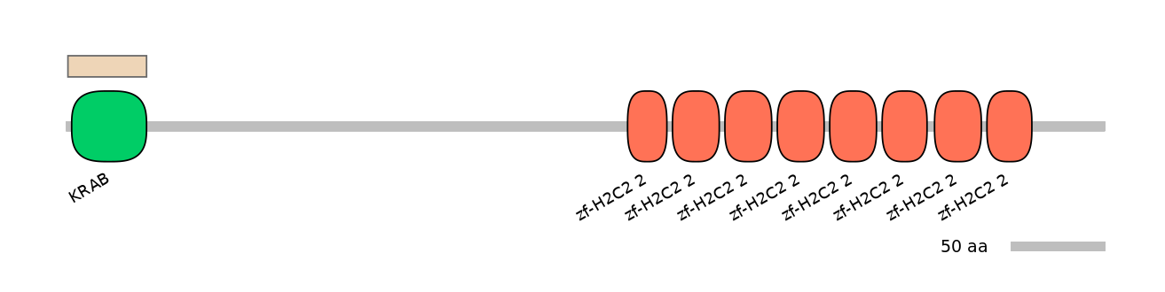 MmuEX1028568-EXC