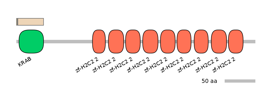 MmuEX1028592-EXC