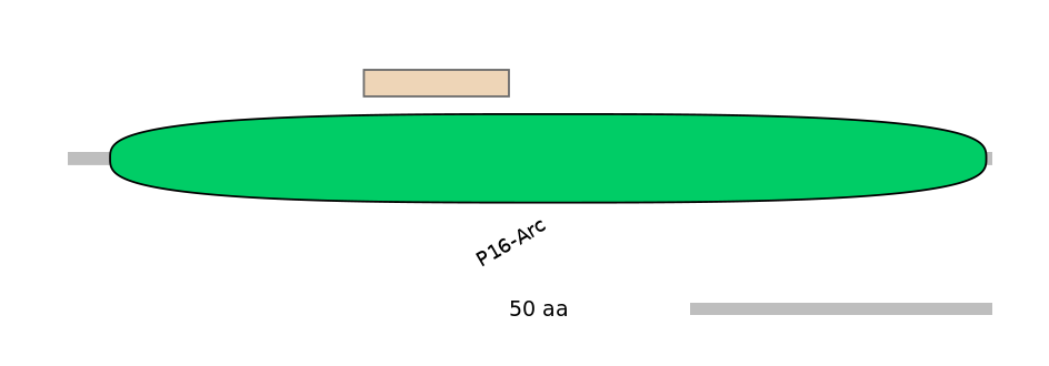 MmuEX1029027-EXC