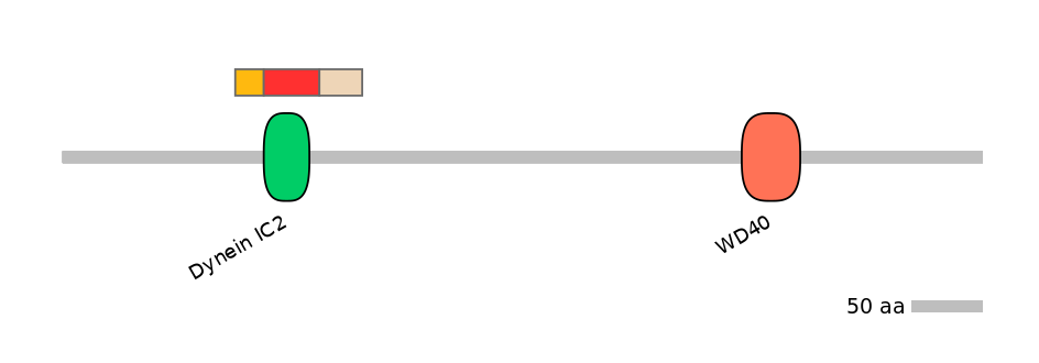 MmuEX6002861-INC