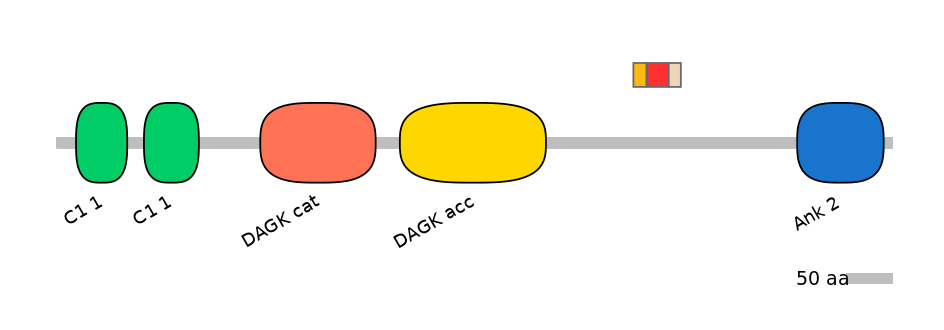 MmuEX6003730-INC