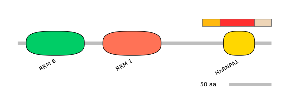 MmuEX6004379-INC
