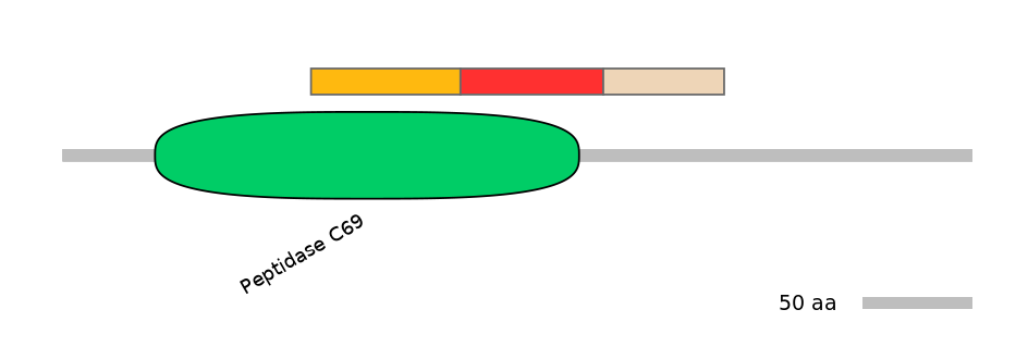MmuEX6004435-INC