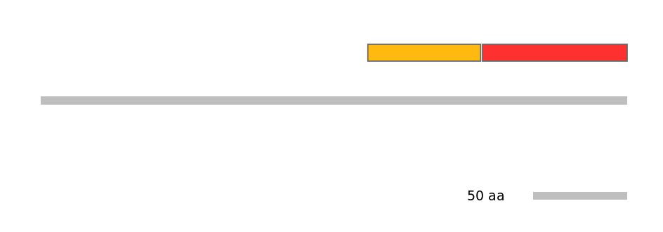 MmuEX6005998-INC
