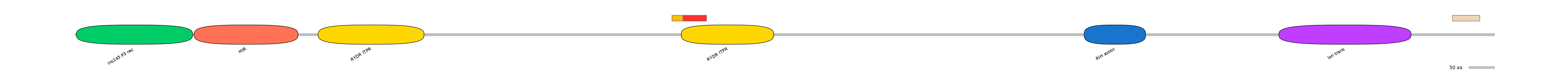 MmuEX6006007-INC