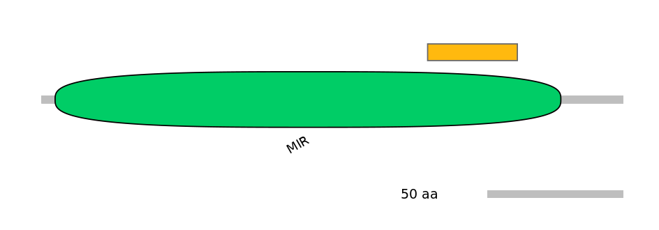 MmuEX6006022-INC