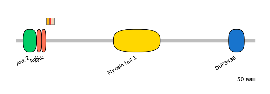MmuEX6006480-INC