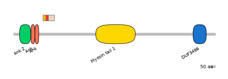 MmuEX6006482-INC