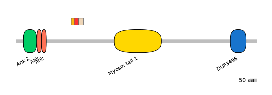 MmuEX6006483-INC