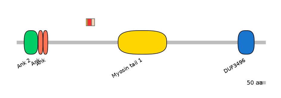 MmuEX6006485-INC