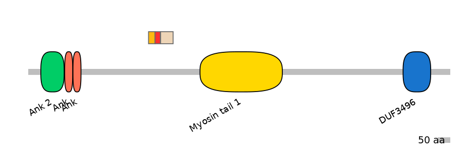 MmuEX6006486-INC