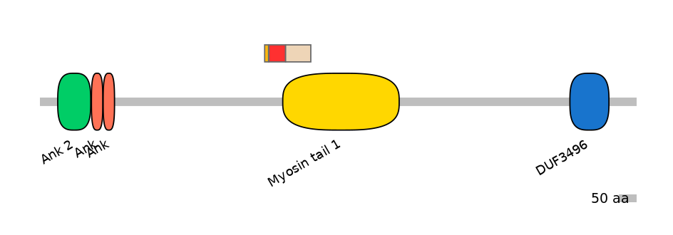 MmuEX6006490-INC