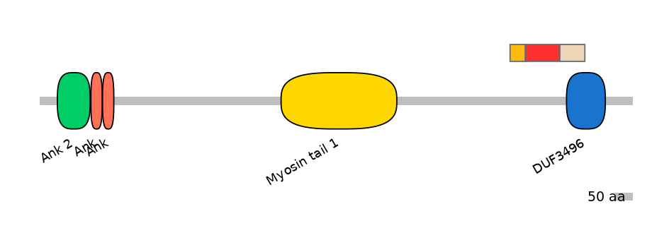 MmuEX6006495-INC