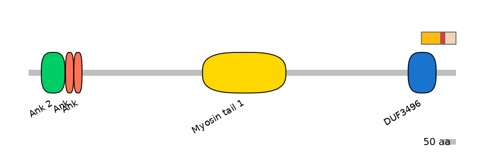 MmuEX6006498-INC