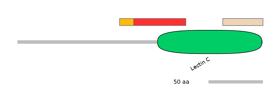 MmuEX6007368-INC