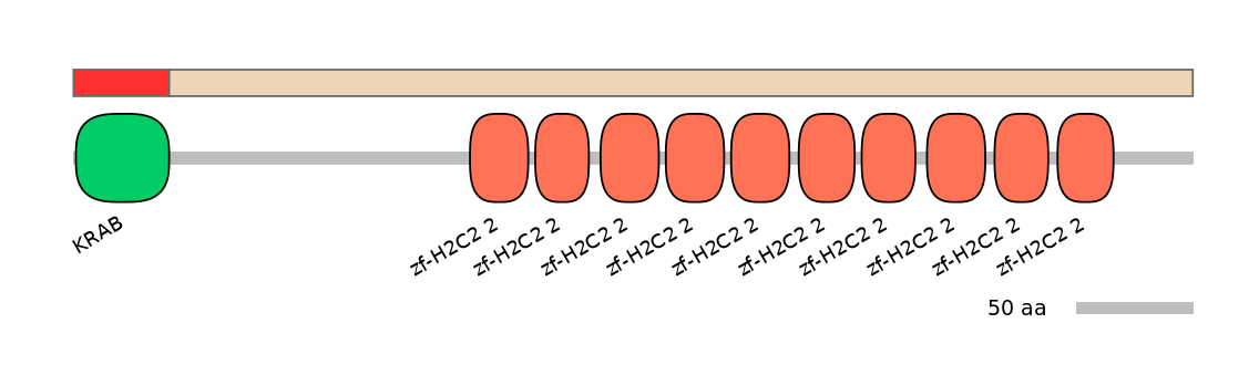 MmuEX6008898-INC