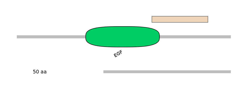 MmuEX6011631-EXC