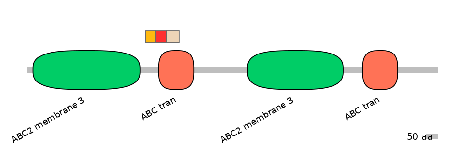 MmuEX6013709-INC