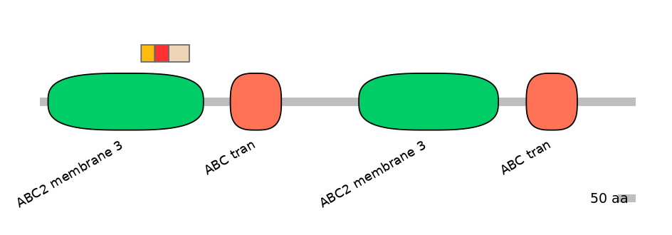 MmuEX6013711-INC