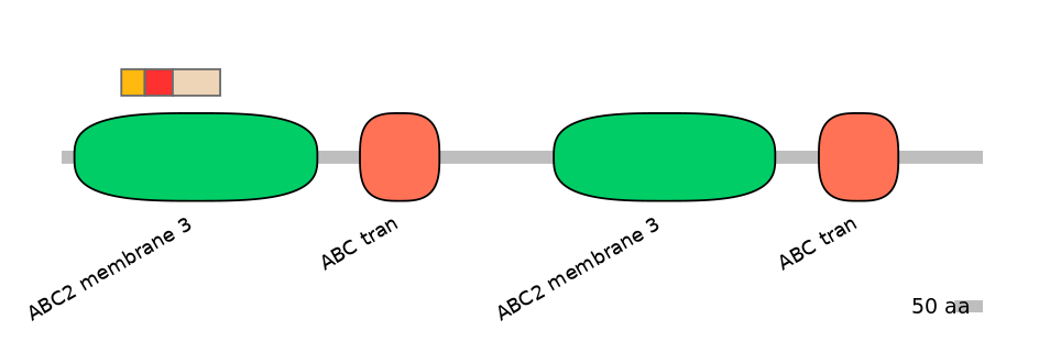 MmuEX6013732-INC