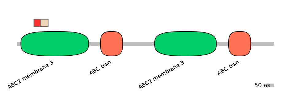 MmuEX6013733-INC