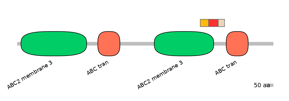 MmuEX6013741-INC
