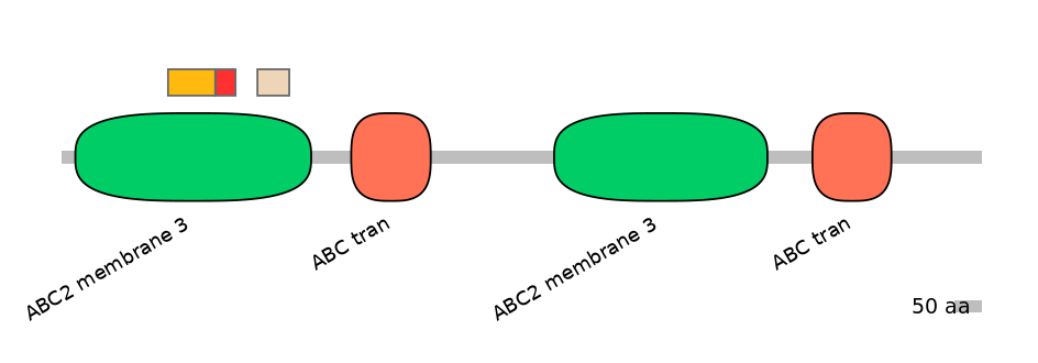 MmuEX6013754-INC