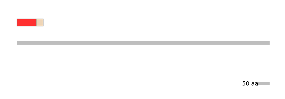 MmuEX6016093-INC
