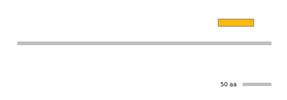 MmuEX6016096-EXC