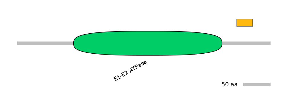MmuEX6017964-EXC