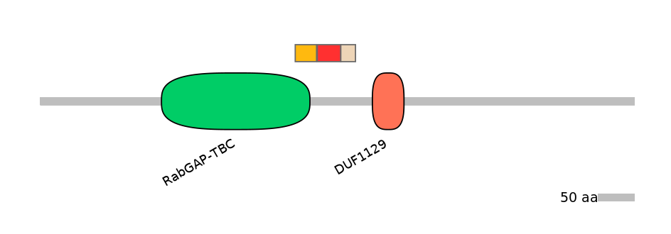 MmuEX6019379-INC