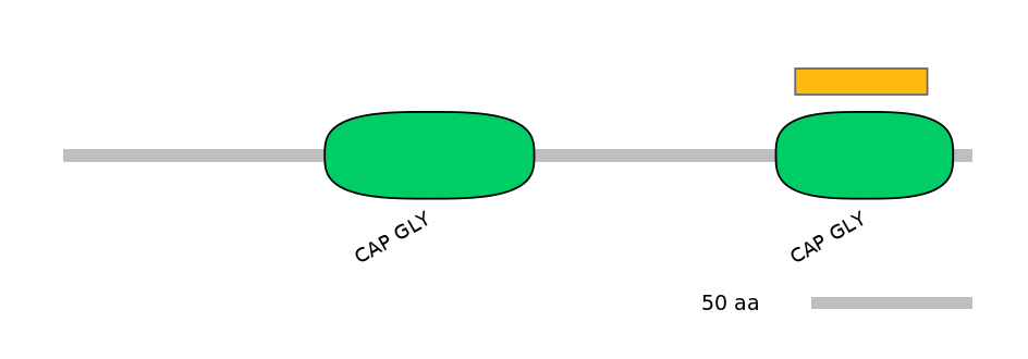 MmuEX6021424-EXC