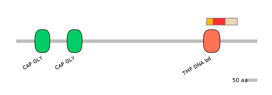 MmuEX6021430-INC