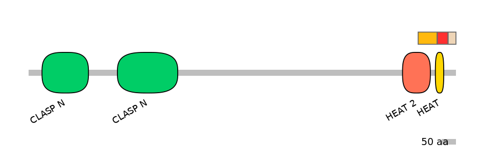 MmuEX6026848-INC