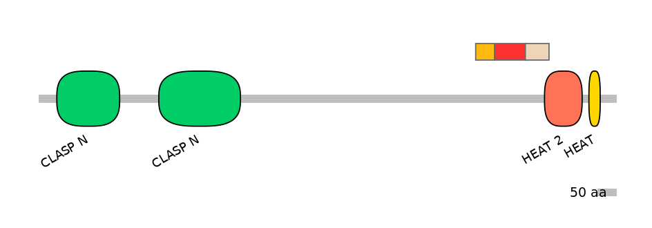 MmuEX6026852-INC