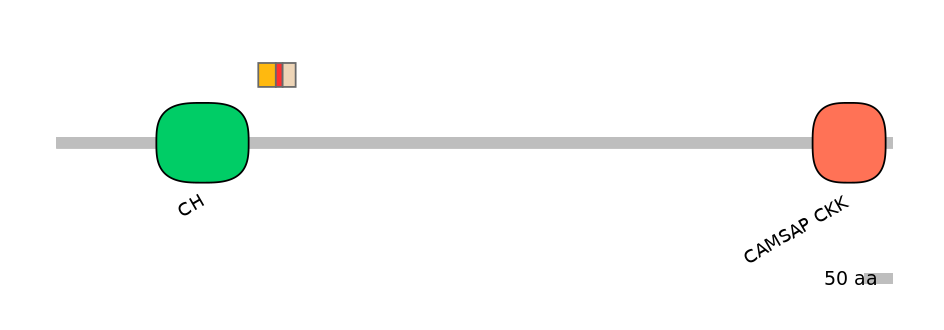 MmuEX6027786-INC