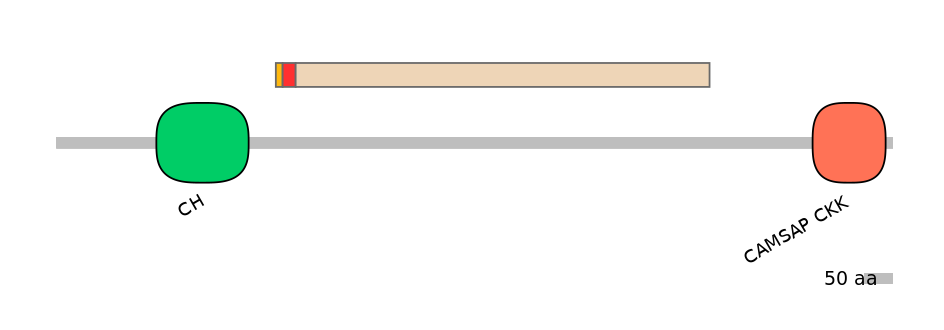 MmuEX6027787-INC
