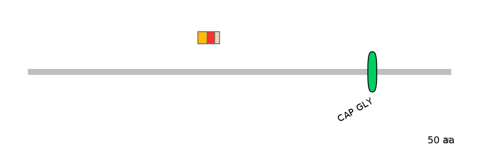 MmuEX6028422-INC
